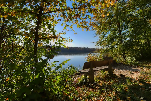 模仿阿丽塔 模仿阿丽塔