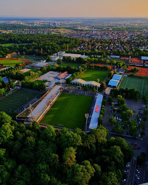 的内容似乎 的内容似乎