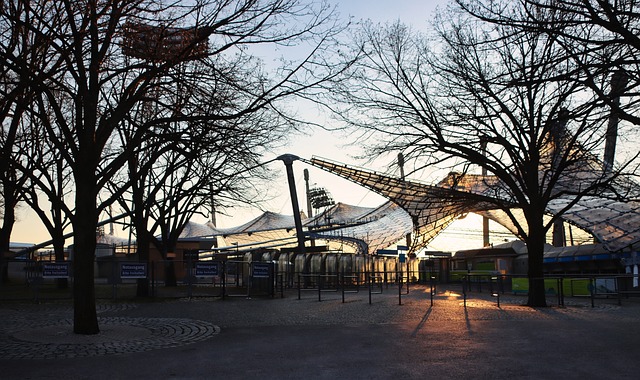 斯洛伐克的 斯洛伐克的